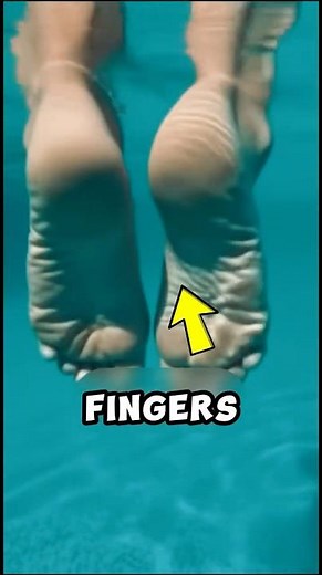 Why Your Fingers Wrinkle in Water 😱🖐️ (It’s NOT What You Think!)