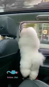 131K views · 5K reactions | BMA Productions LLC on Reels | Facebook