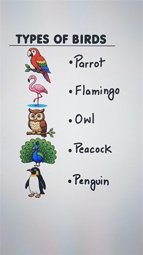 Types of Birds 👩‍🏫 #vocabulary #english