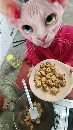 🎂🎂Say it all🎂🎂Happy Birthday 🎂🎂🎂💥💥💥💥🤪🤪🤪🤪👈👈👈👈 #funny