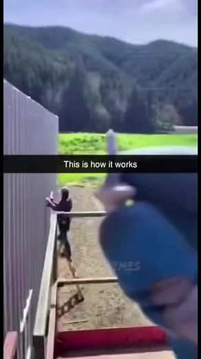 #stitch with @dawgmemes if you understand duet. #random #comedy #randomcomedy #comedyskit #teamfortress2 #tf2 #tf2memes #foryoupage