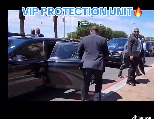 Understanding VIP Protection Units in South Africa