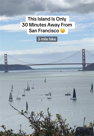 Explore the Scenic 5-Mile Hike at Angel Island
