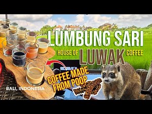 Sip, Savor, and Discover: A Day at Lumbung Sari House of Luwak Coffee! (Bali, Indonesia)