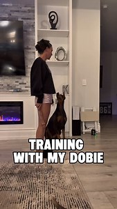 Training my crazy dobie #dogs #doberman #dogtraining #dogtricks #dogmom | Dobienyx