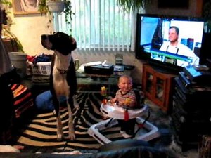 Tallest Female Dog in the World Bubbles