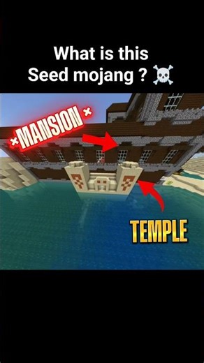 Insane Minecraft Seed 🤯