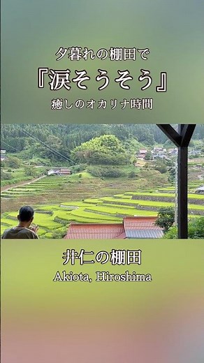 『涙そうそう』夏の夕暮れの棚田から 癒しのオカリナ時間 Healing Ocarina in Japanese Rice Terraces Nature Sound No Mic.