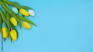Easter stop motion animation. Assorted Easter eggs in shades of blue move on a blue background next to beautiful yellow tulips with a delicate purple ribbon. Stock Video