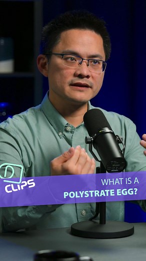 What is a polystrate egg? | Creation Ministries International