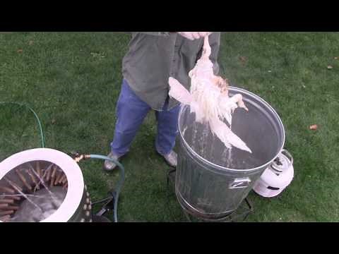 Yardbird Chicken Plucker