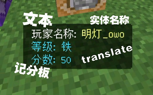 一条指令显示玩家信息 titleraw详细用法（附笔记）