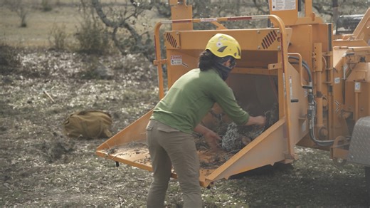 Small trees? Brush? No problem. 💪 The Bandit 12XPC chomps through your toughest cleanup with ease, thanks to its proven slide‑box feed system and rugged drum design. It handles dense brush and small trees up to 12" in diameter without breaking a sweat! 📍 Learn more about the Bandit 12XPC chipper: https://bobcatofnorthtexas.com/showroom-machines/intimidator-12xpc-towable/ | Bobcat of North Texas