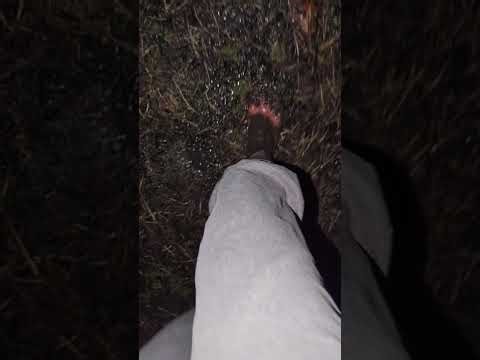 Barefoot Trek through Thick Muck #barefoot #mud #barefooting #muddyfeet