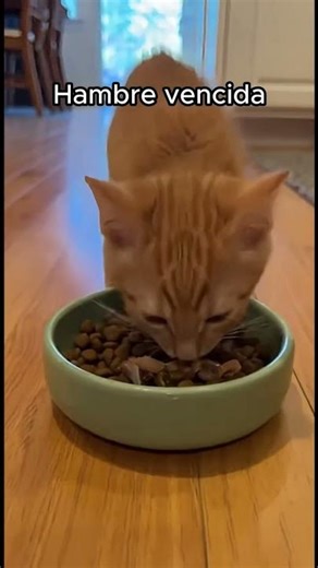 La calle casi se lo lleva… pero no hoy ❤️