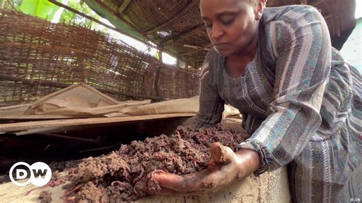 Ethiopian farmers see value in worm compost