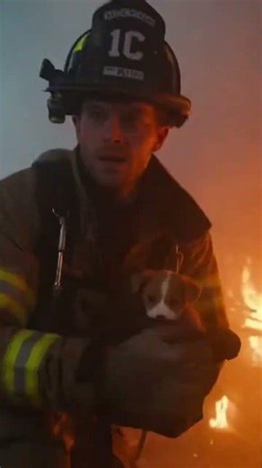 brave firefighter saves puppy 🐶