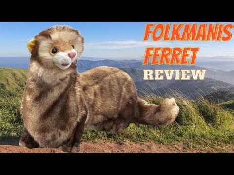 Folkmanis Ferret Review #puppet #ferret #ferretsplaying #review #toyreview