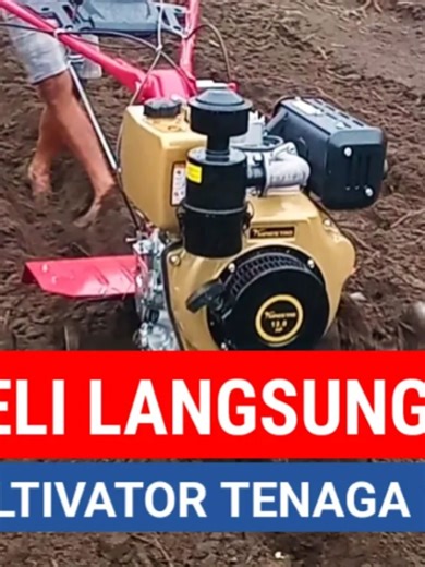 PEMULA LANGSUNG BELI CULTIVATOR MAESTRO DIESEL 13 HP - MESIN CACAH TANAH, BIKIN PARIT DAN BEDENGAN Perkenalkan, tamu saya kali ini adalah Pak Sugeng dari Dusun Ngampel, Desa Candirejo, Kecamatan Ponggok, Kabupaten Blitaf, Jawa Timur. Petani hortikultura ini belum pernah mengoperasikan cultivator merk apapun. Beliau langsung pilih mesin Maestro Diesel bertenaga setara 13 Daya Kuda. Pak Sugeng juga langsung saya ajak belajar cara mengoperasikannya di lahan dekat rumah. Meski baru belajar, beliau l