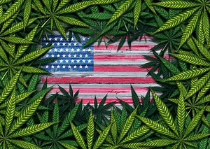 Where Is Cannabis Legal? A Guide To All 50 States