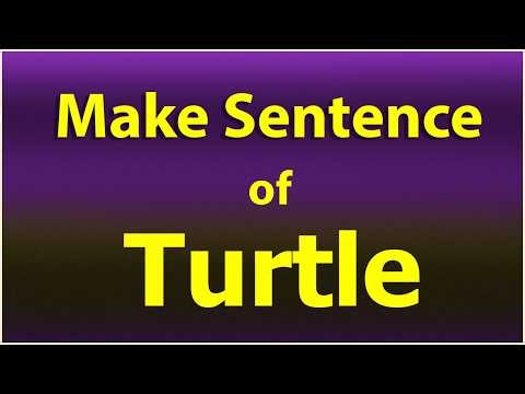 Turtle Make Sentence of Turtle. Turtle in a Sentence. Turtle Sentence example. Turtle ka Sentence.