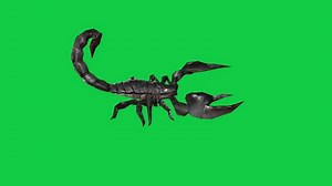 Download Scorpion walking 3d render loop animation isolated on green screen background for free