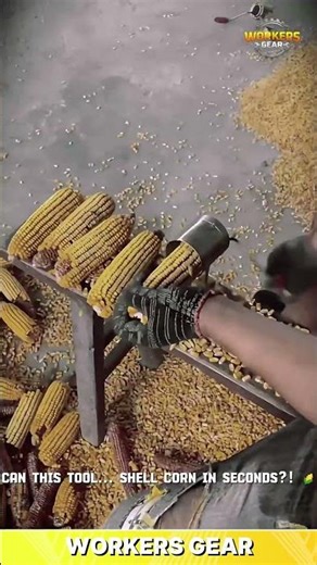 Handheld Corn Shelling Tool for Harvest Processing and Grain Separation in Small Farms