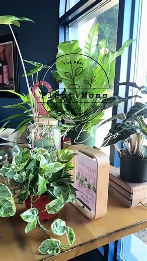 Successful Plant Bingo Event Recap