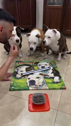3 Pitbull funny video 🧿 🤣🤣🤣 #viral #dog #traning #200k like 🥰🧿
