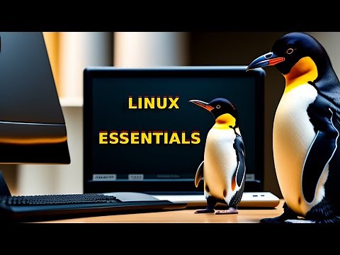 NDG Linux Essentials English 1222 cga | Chapter 02 Exam answers
