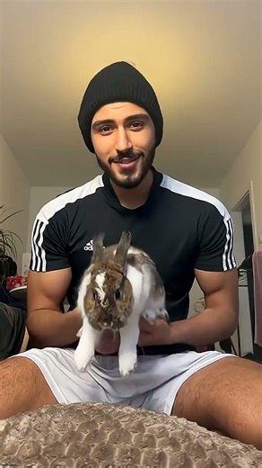This a real educational fact! Rabbits have the ability to sleep with their eyes open