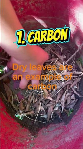 🌱 The Key Ingredients for Perfect Compost!