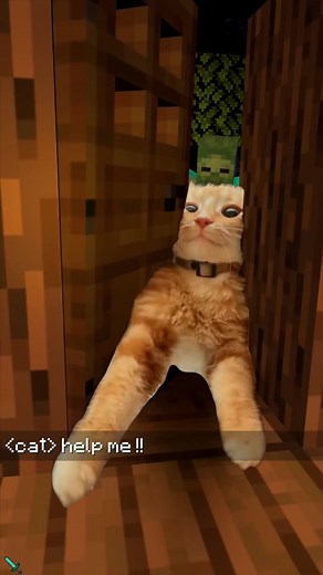 Cats enter Minecraft world #minecraft #minecraftmemes ─────────── Explore all mods for MCPE: https://lnk.bio/PAMG | AddOns Maker