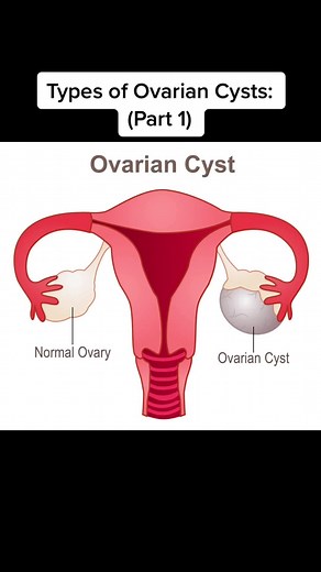 Pretty Kitty, LLC. (@prettykittyllc)’s videos with original sound - •_•