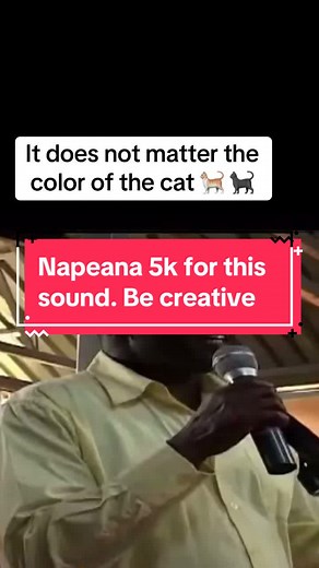 It does not matter the color of the cat 🐈‍⬛🐈. Use this sound, tag me and also use the hashtag #ColorOfTheCat. I will award sh 5k or a tiktok gift worth the same to the video with most views