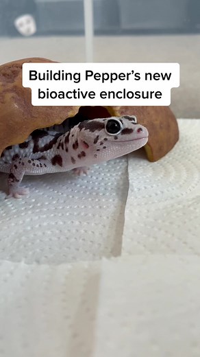 user7204976310787 on TikTok