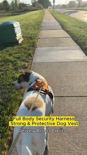 Full Body Security Harness | Strong & Protective Dog Harness Review | #petproducts t