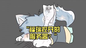 福瑞控开的服务器？