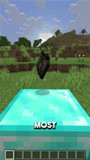 Minecraft's weirdest food