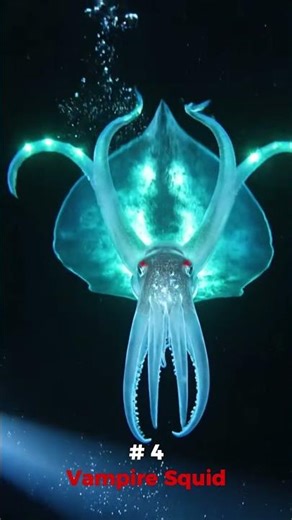 Top 5 Scariest Deep Sea Creatures !!! (Only 5% of Ocean Explored)