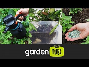 3 Ways To Feed Your Plants