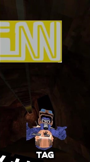 Beans origin story #gorillatag #gorillatagquest #gtag #cool #vr #gorillatagvr #monkey #aabadge #fyp