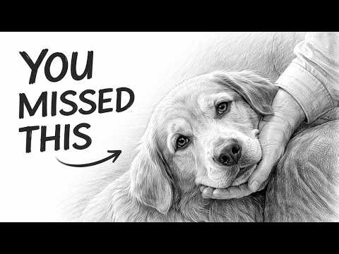 Dog Behavior Psychology | 10 Subtle Signs Your Dog Loves You More Than You Realize