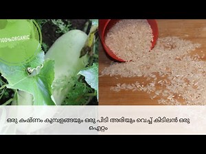 തൊടിയിലെ കുമ്പളങ്ങയും പച്ചരിയും കൂട്ട് കൂടിയപ്പോൾ 😍Ash Gourd Recipe/Cuisine Art by Anan🍒Episode:75