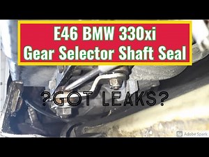 BMW Gear Selector Shaft Seal ( E46, E39, E83 )