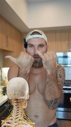 𝗠𝗿. 𝗛𝗶𝗴𝗵 𝗟𝗲𝘃𝗲𝗹 on Instagram: "Comment “Routine ” to reclaim your nights — and transform your days. A powerful nighttime routine will: 😴 Improve your sleep quality 😌 Lower your stress hormones (cortisol) ⚡ Recharge your energy for the day ahead 🧘‍♀️ Regulate your nervous system & calm your mind 🛌 Train your body to feel safe enough to truly rest #EveningRoutine #BetterSleep #LessStressMoreRest #EnergyReset #NervousSystemHealing #CortisolDown #DeepSleep #NighttimeHealing #SleepToHea