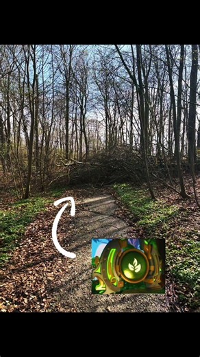 Only a Skylander of the Life Element Can Enter This zone | #skylanders #fypシ