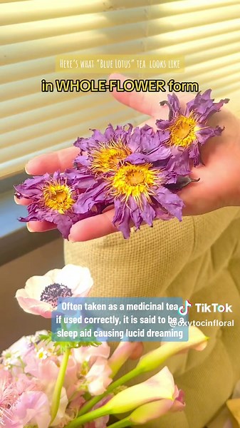 Exploring Blue Lotus: Ancient Medicine's Secrets