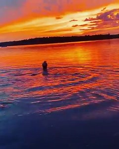 7.7K views · 546 reactions | Heaven... | Speedo | Facebook