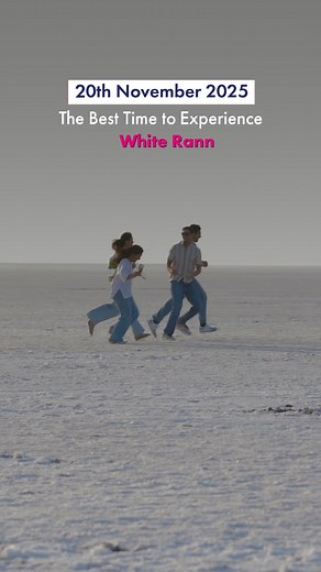 You’ll be starstruck by the glory of white rann under the blanket of...
